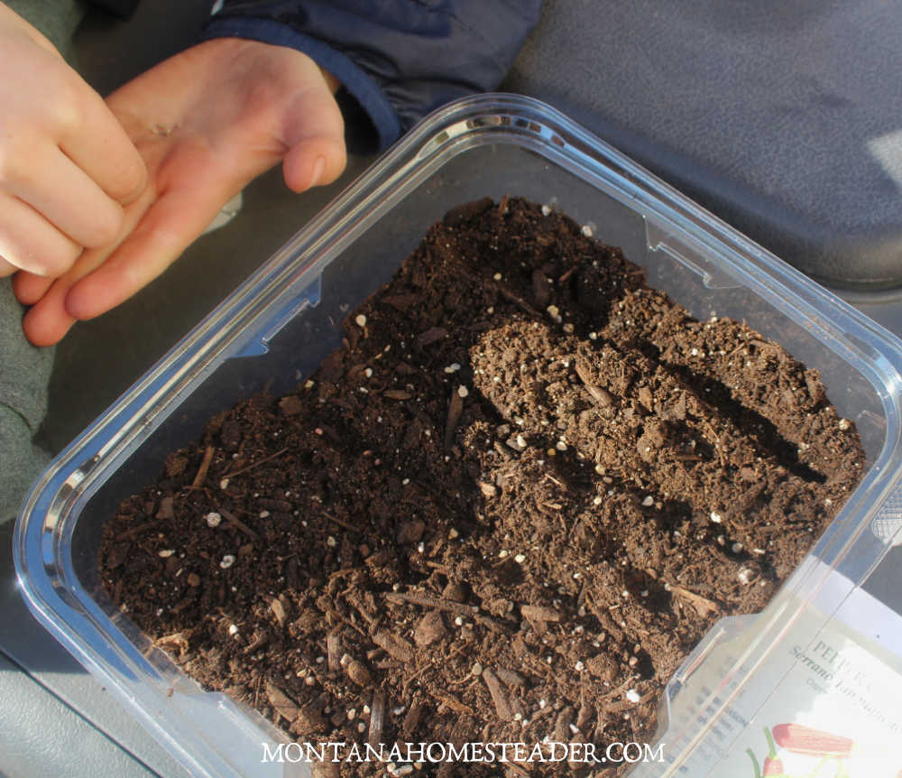How to start vegetable garden seeds indoors in a few easy steps child planting seeds in shallow rows drawn in potting soil in seed pot
