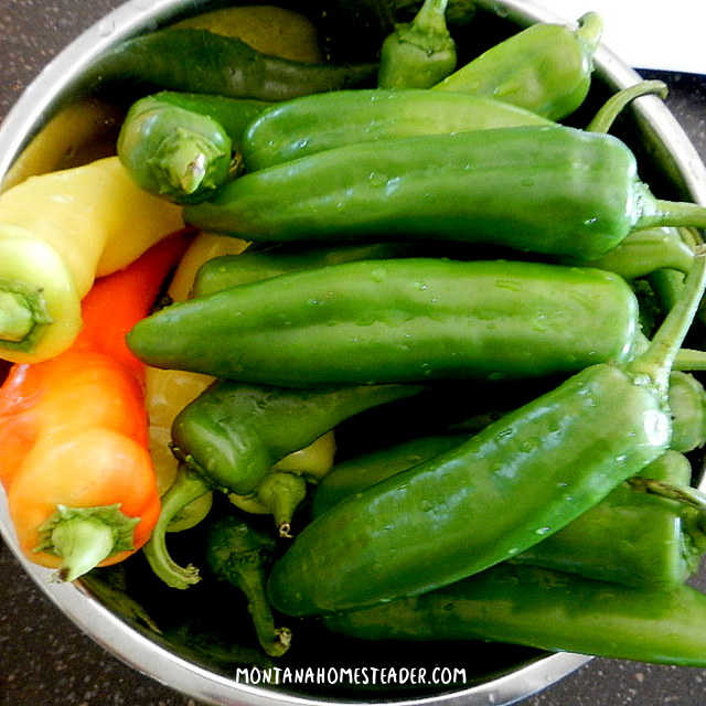 How to grow a salsa garden best type of peppers to grow in a salsa garden bowl of colorful peppers