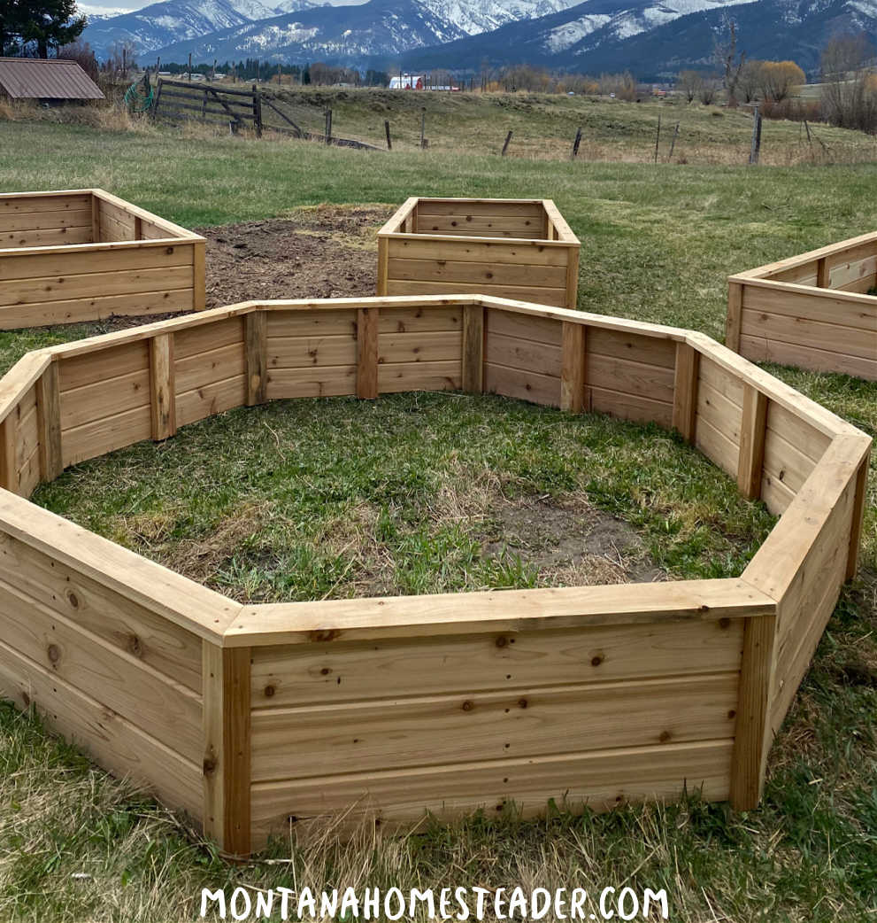 How to build a raised bed garden for beginners site selection and laying out garden beds before filling to ensure good drainage sunlight spacing and level