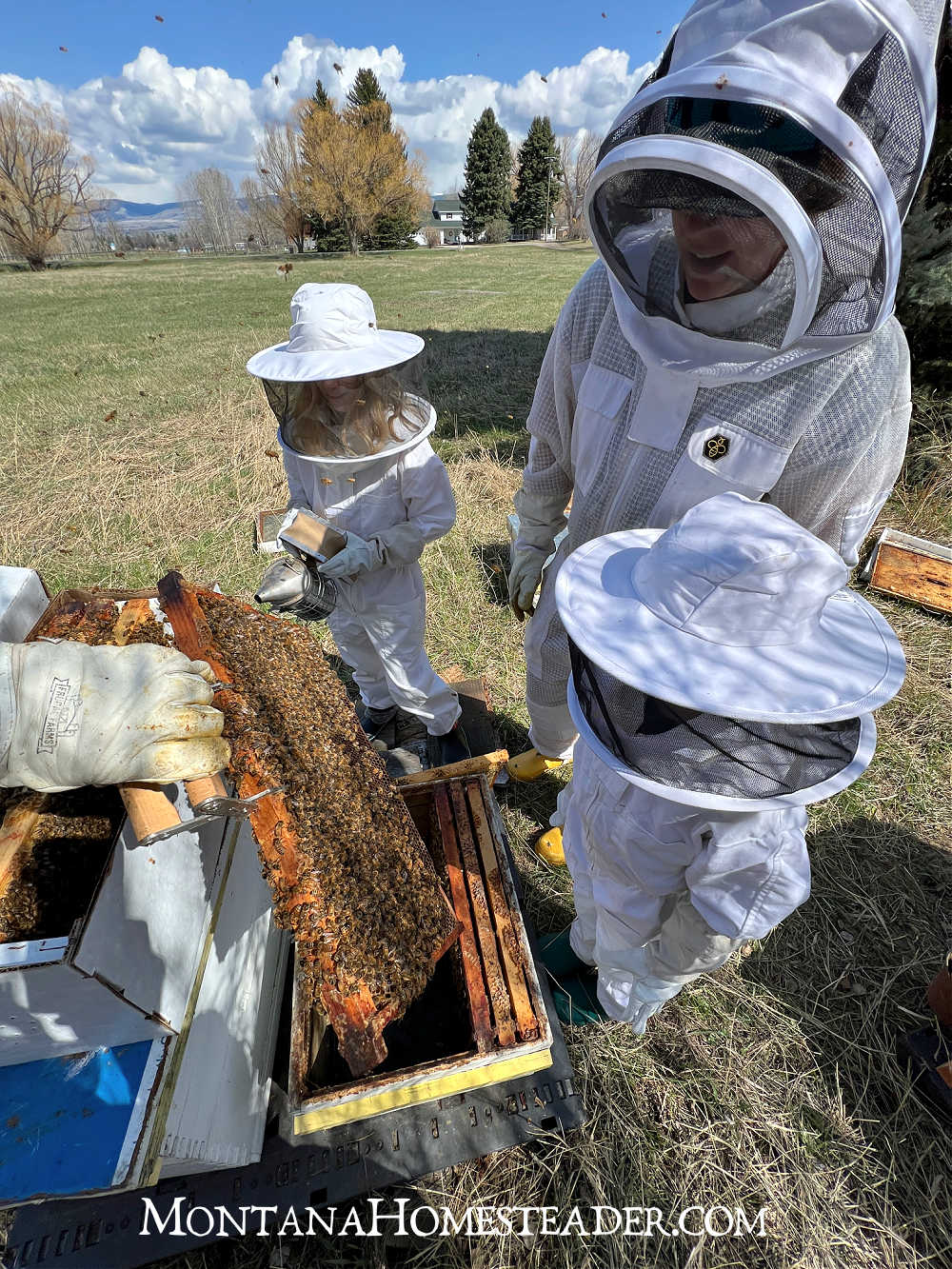 Must have supplies tools clothing for beginner beekeepers protection from one piece beekeeping suits with attached hood and veil for adults and kids sizes