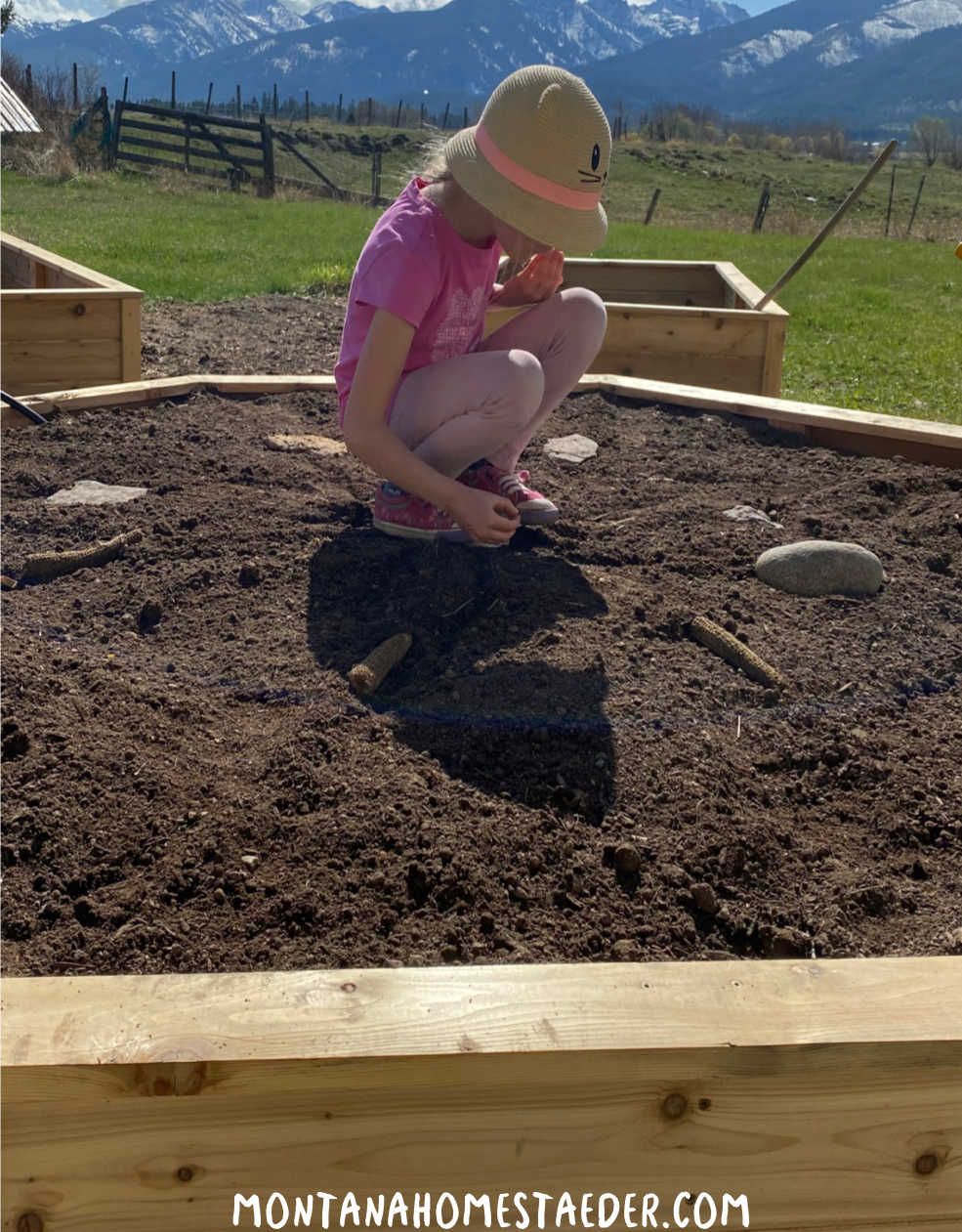 How to start a raised bed garden for beginners what to plant in a raised bed vegetable garden