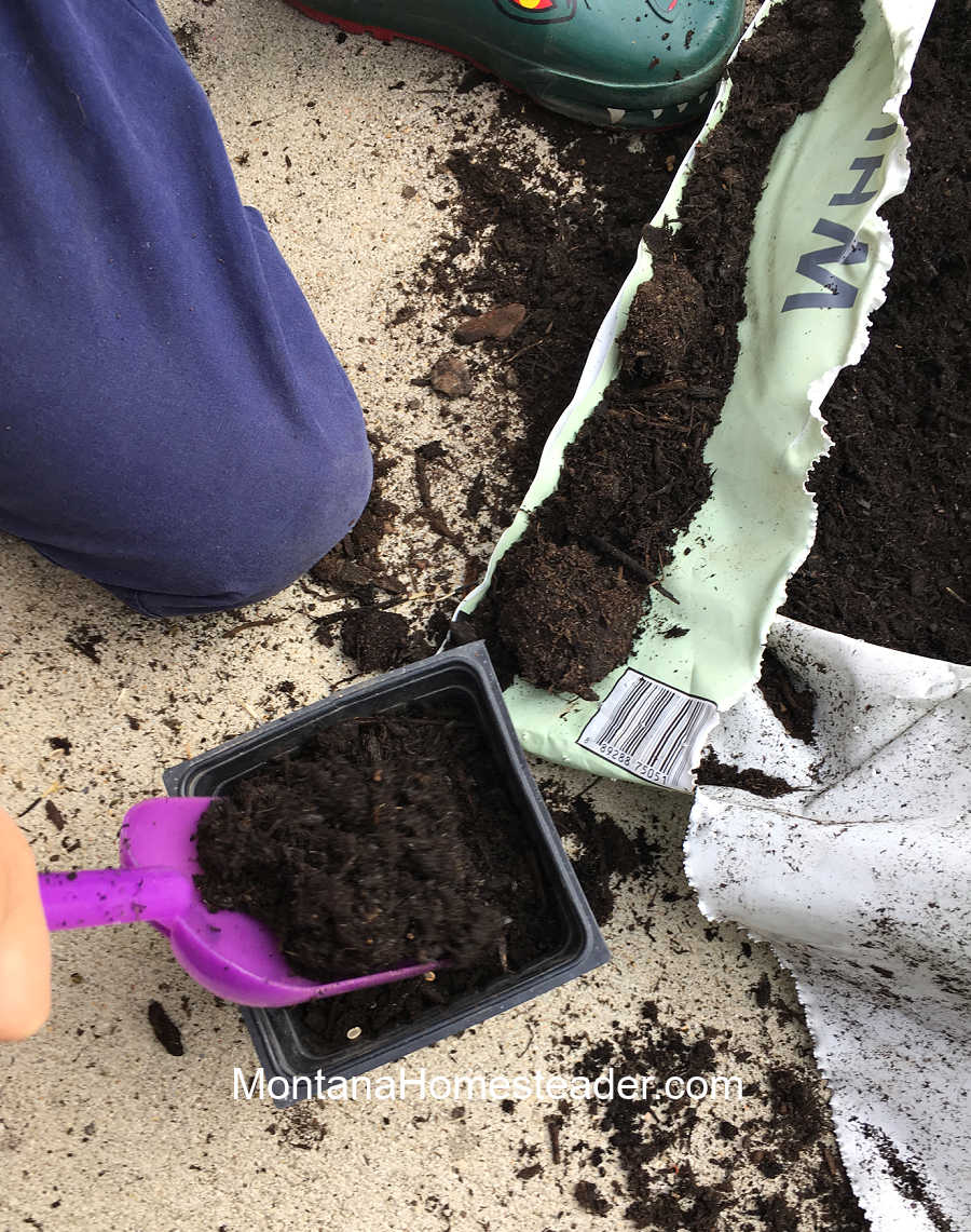 Celebrating the Spring Vernal Equinox Ostara planting seeds to grow seedlings with kids outdoors activities