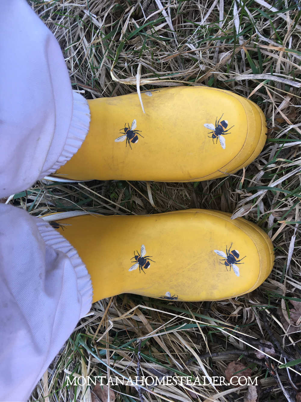 beekeeping supplies for beginners wearing tall yellow rubber bee boots with beekeeping suit for protection