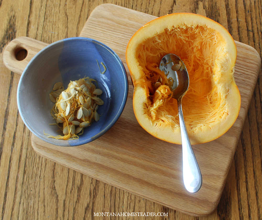 How to remove pumpkin seeds how to clean pumpkin seeds and make roasted pumpkin seeds large spoon scooping out pumpkin needs and placing them in blue pottery bowl sitting on wood board