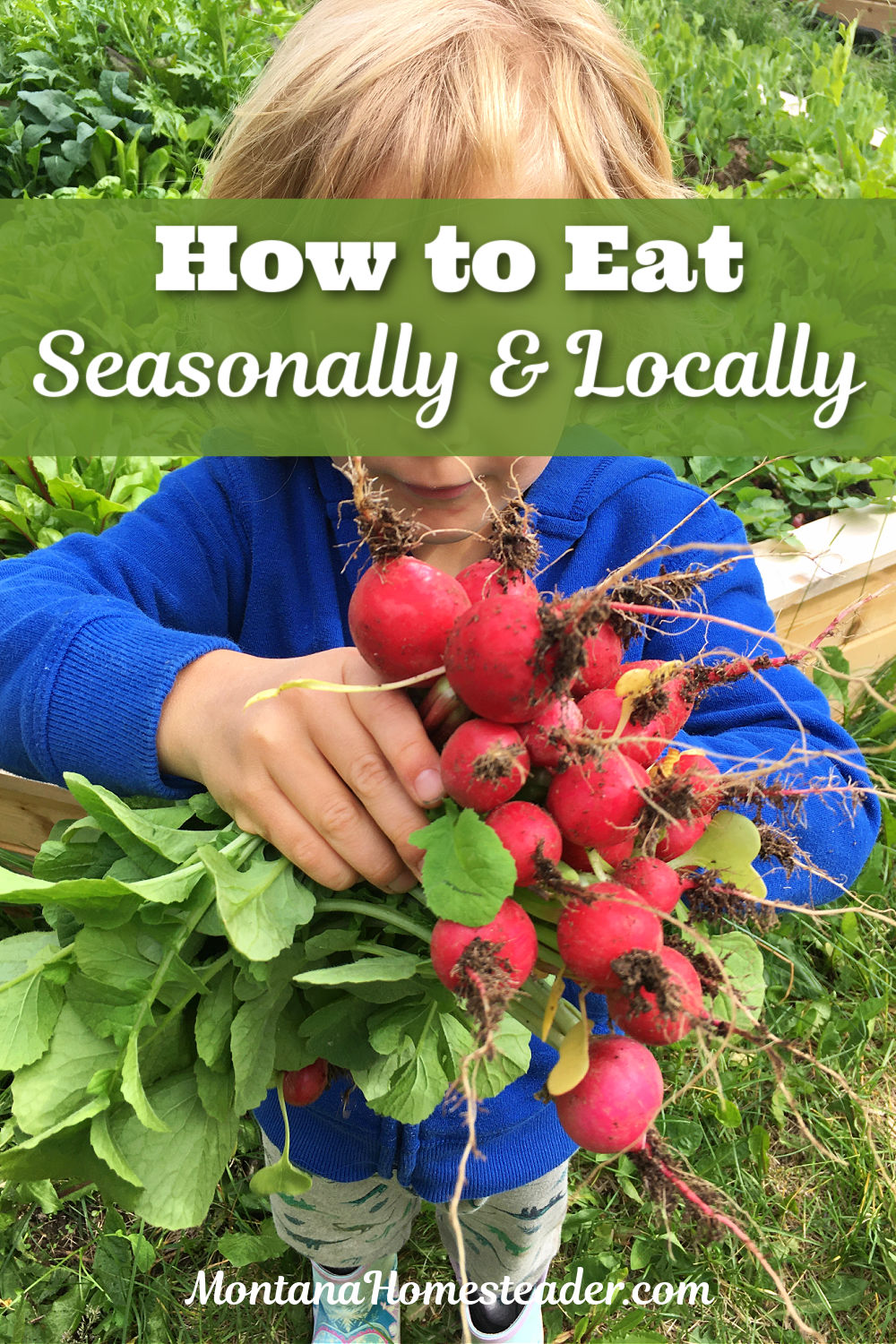 How to eat seasonally and locally how to eat seasonally in winter child holding bunch of radishes in the garden