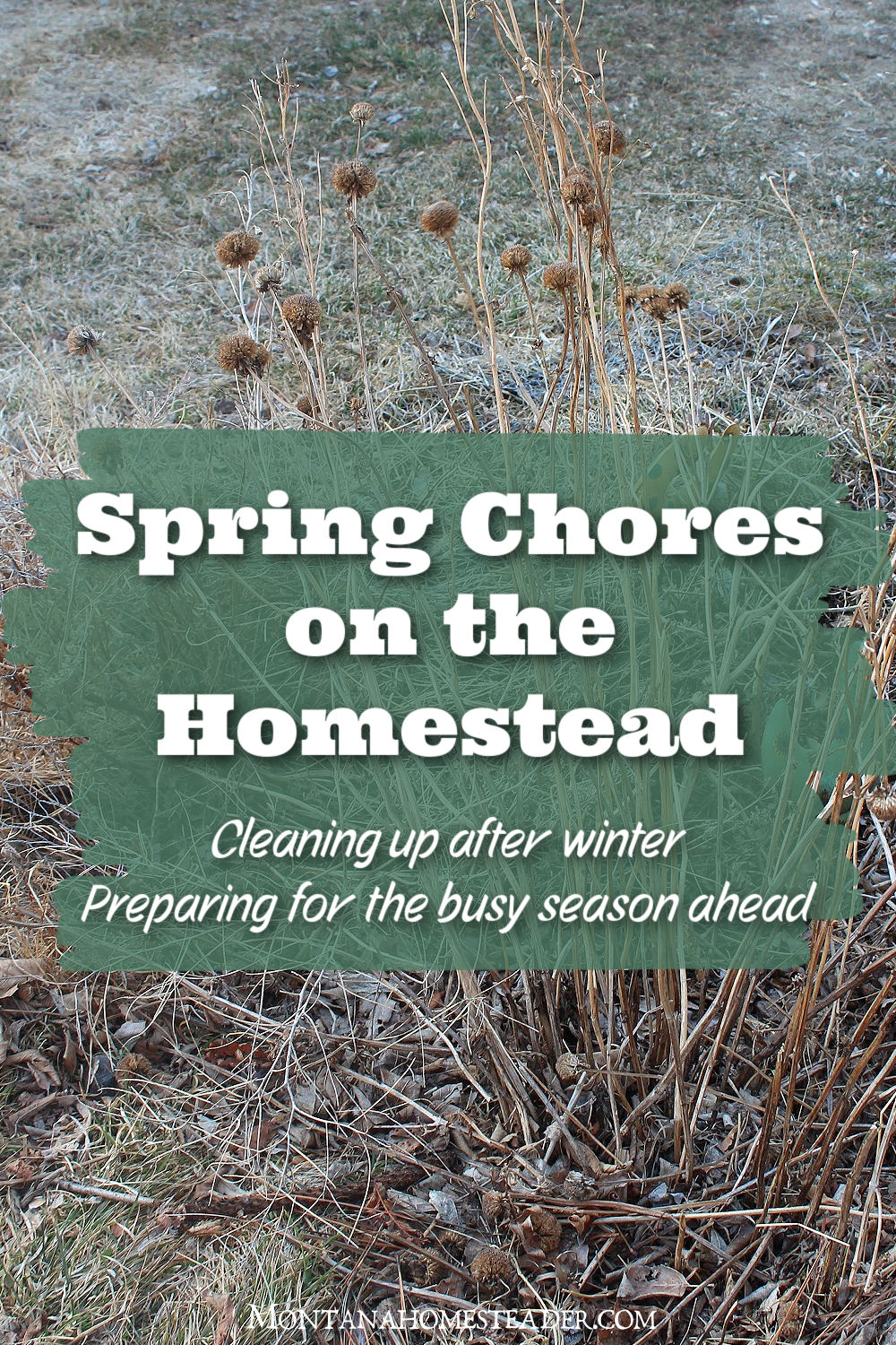 Spring chores on the homestead spring farm chores garden clean up beekeeping prep tree pruning garden full of dead plants left in all winter to help the pollinators overwinter