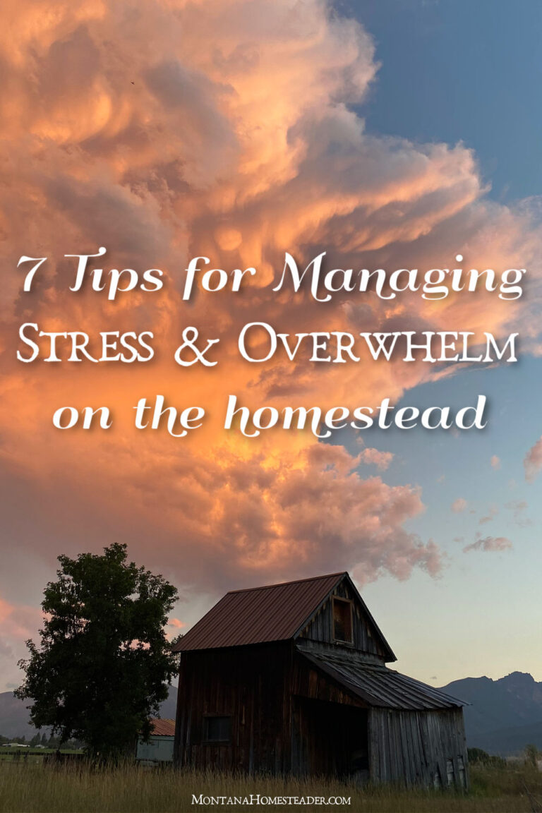 7 tips for how to manage stress and overwhelm on the homestead farm old Montana barn with mountains in background and pink clouds at sunset