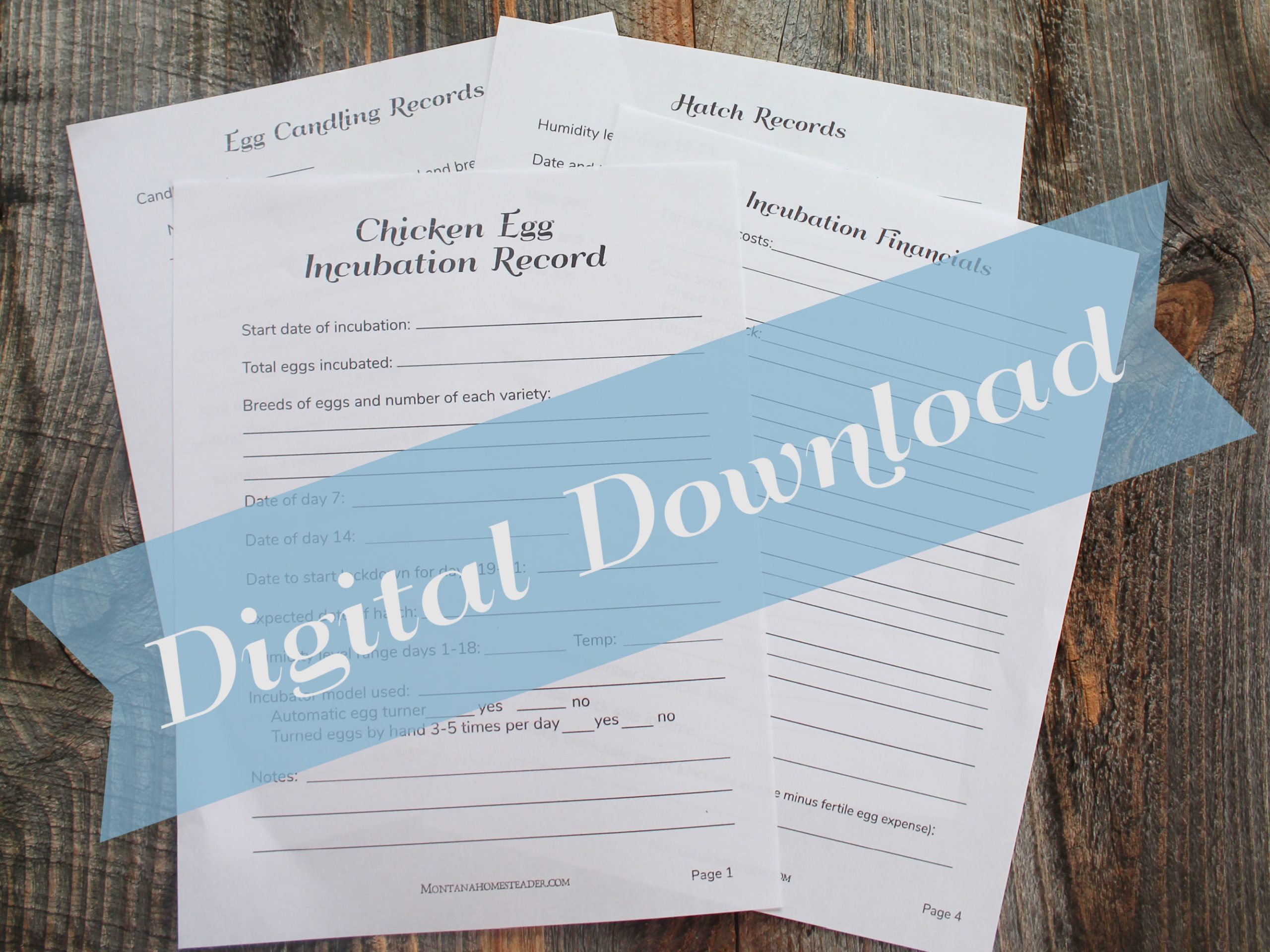 chick hatching incubation records digital printable forms homestead records